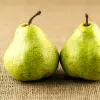 Asian Pear fruit