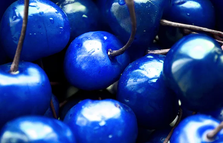 Blue Cherries