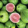 Brazilian Guava