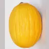 Canary melon
