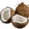 Double Coconut