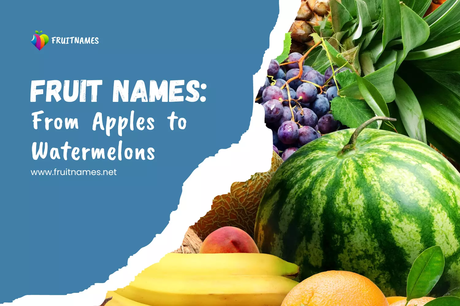 Fruit Names: