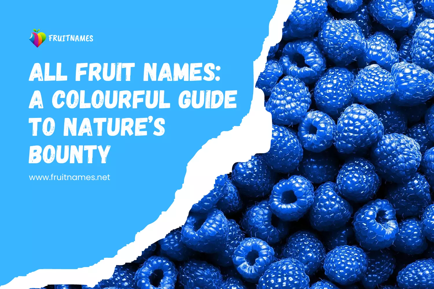 Fruit Names: