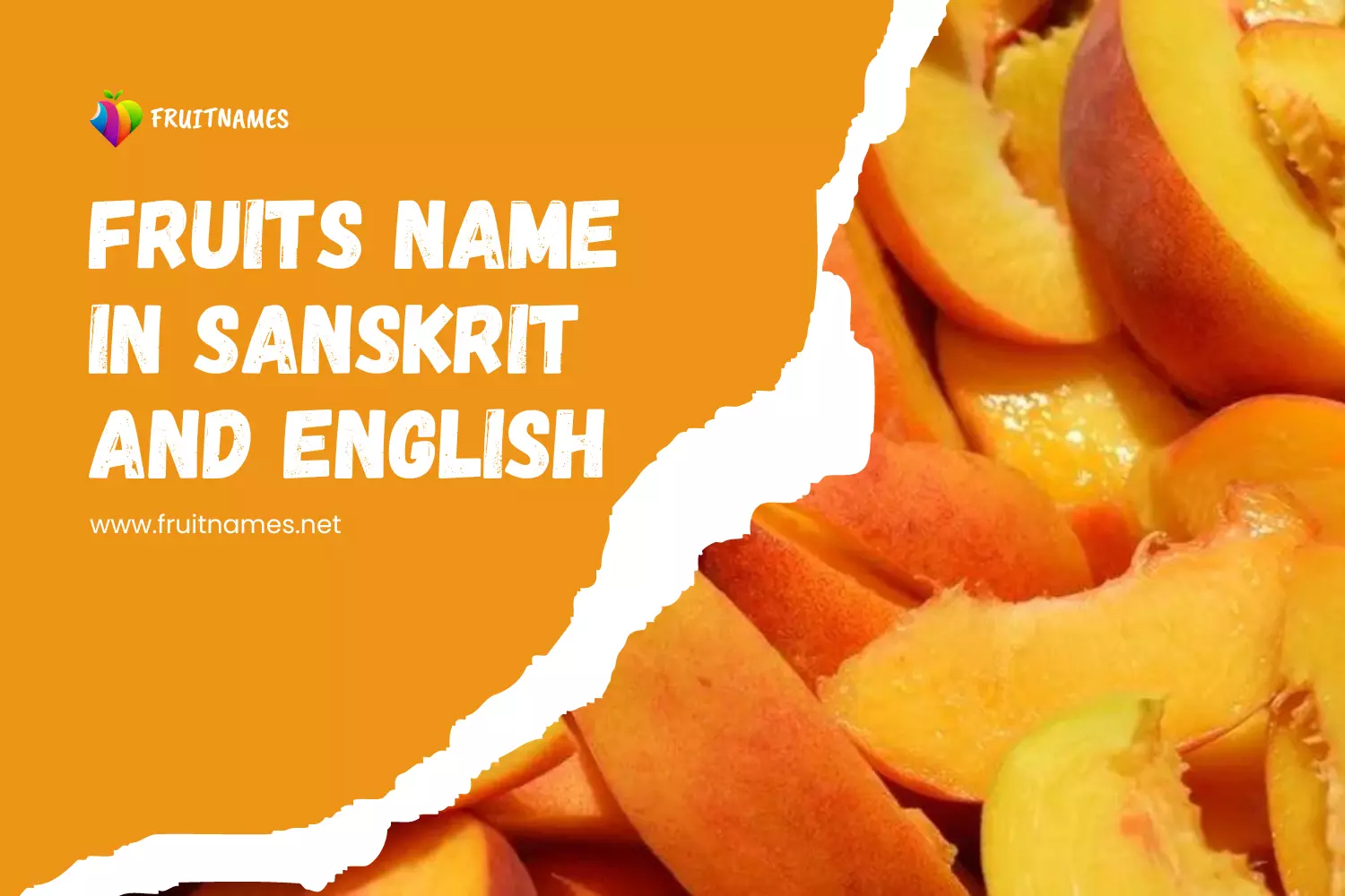 hindi-fruit-names