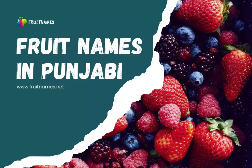 Punjabi Fruits Names In english and Punjabi