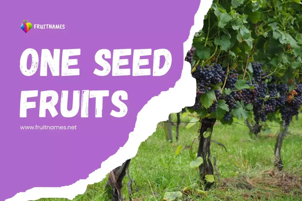 50-list-of-one-seed-fruits-names-in-english