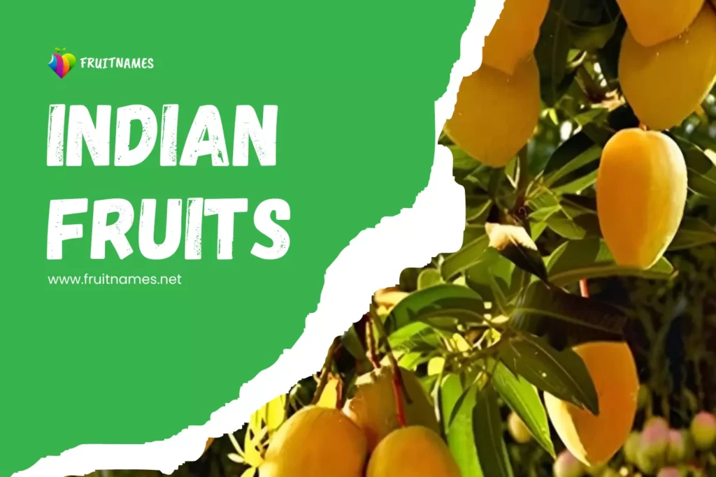 Indian Fruits: A Colorful Journey of Fruits in English