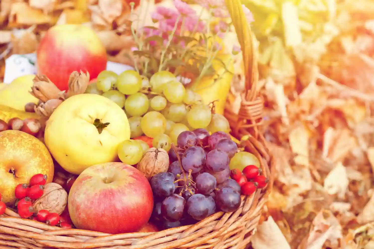 Autumn Fruits