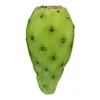 Green Cactus Fruit