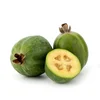 Green Feijoa