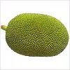 Green Jackfruit