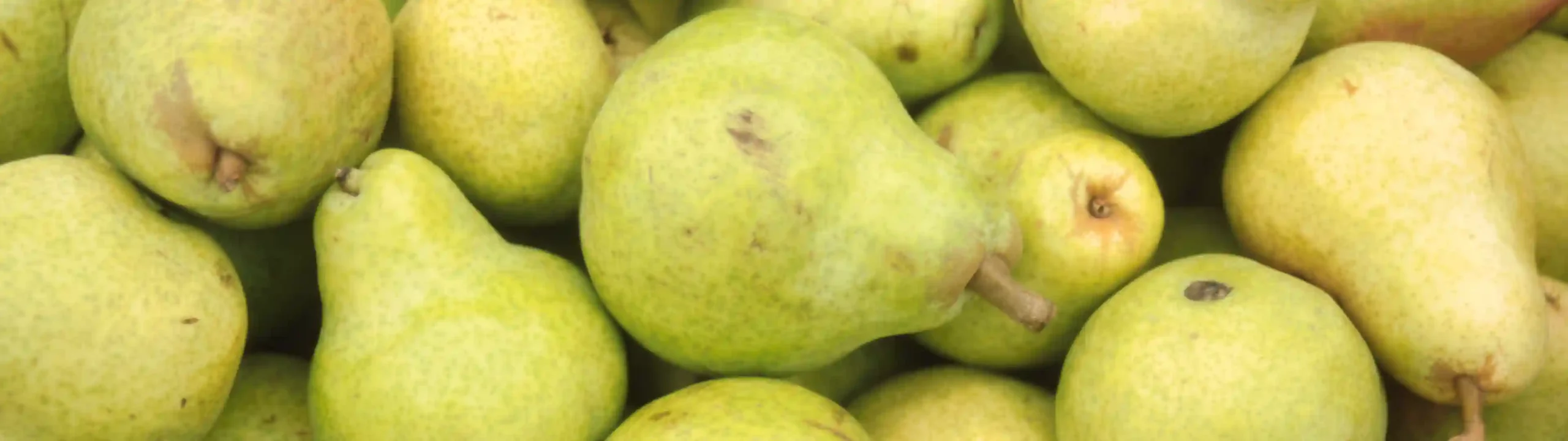 pears