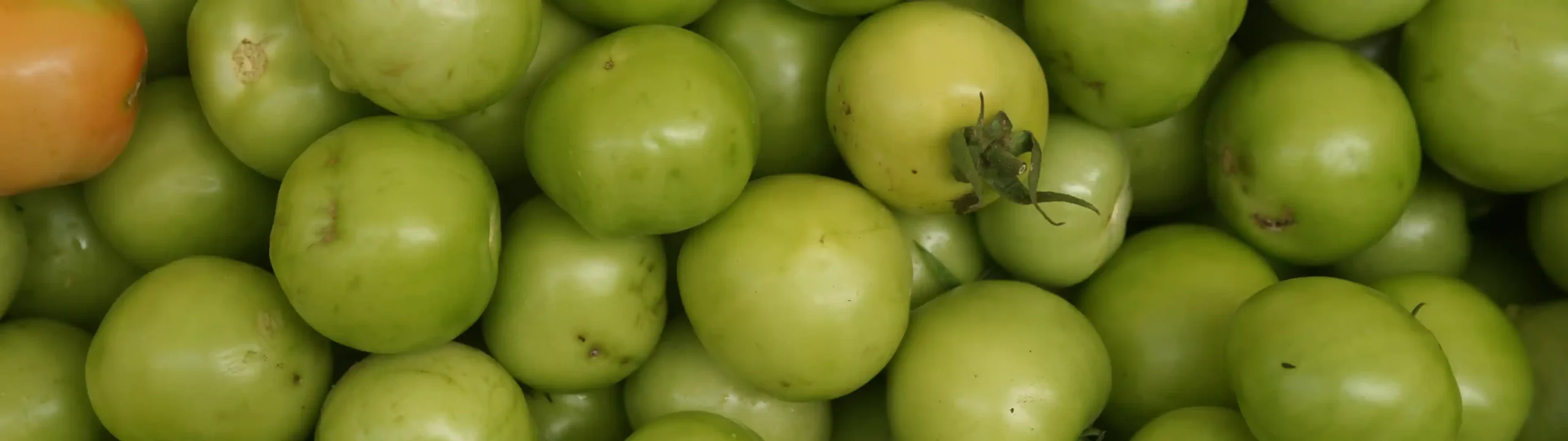 Green-Tomato