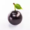 Jaboticaba