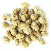 Mulberries (dried)