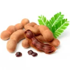 Tamarind