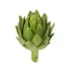 Artichoke