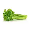 Celery