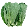 Collard Greens