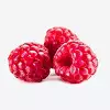 Loganberry