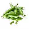 Pea