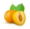 Yellow Plum