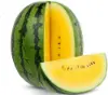 Yellow Watermelon