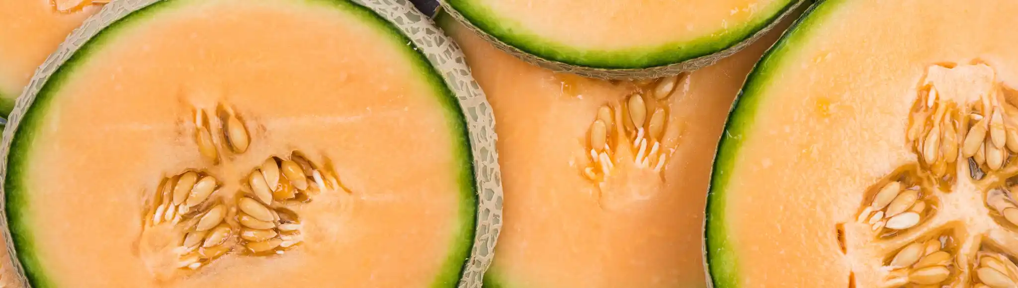 Cantaloupe