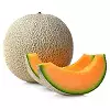 Cantaloupe fruit