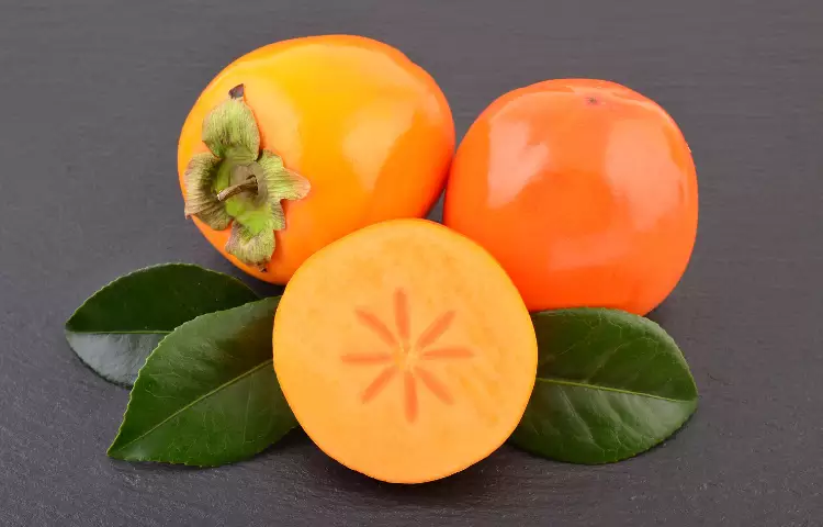 American Persimmon Fruit