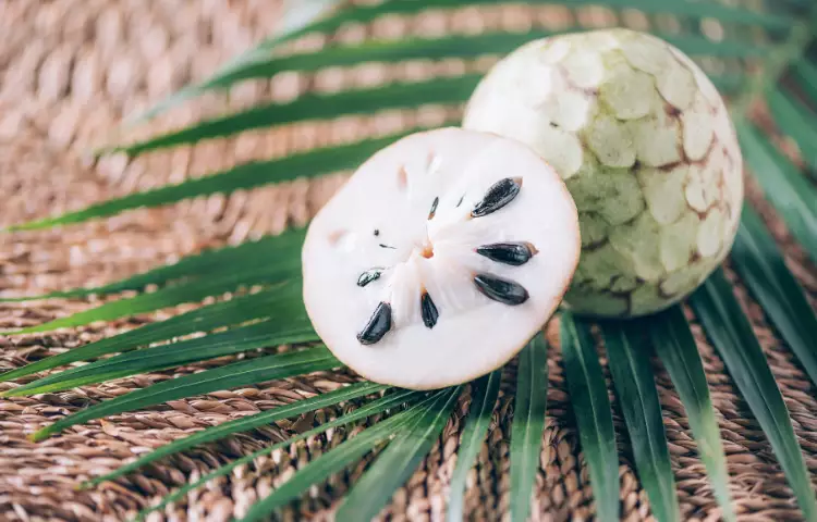 Annona Fruit