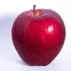 Apple Fruit