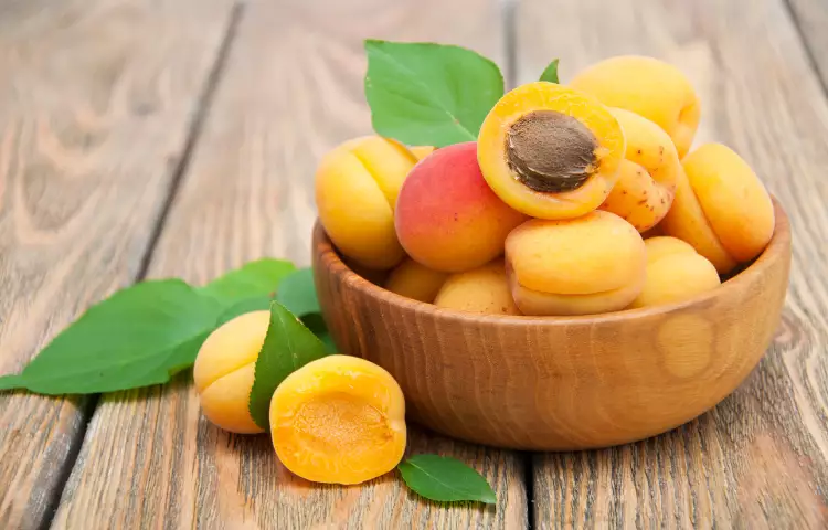 Apricot Fruit