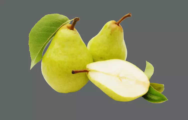 Asian Pear