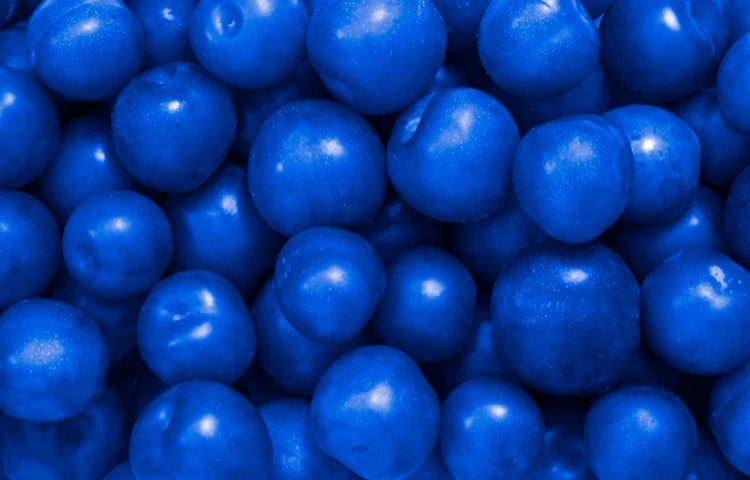 Blue Plums