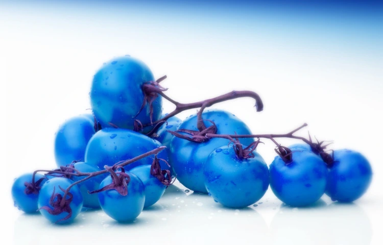 Blue Tomatoes