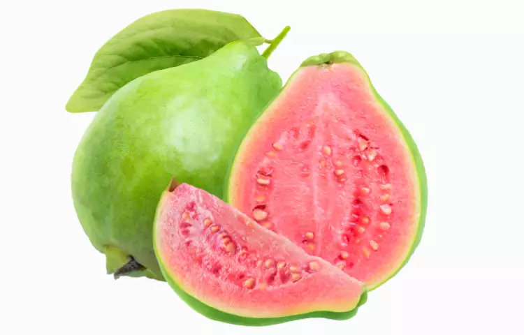 Brazilian Guava Fruit