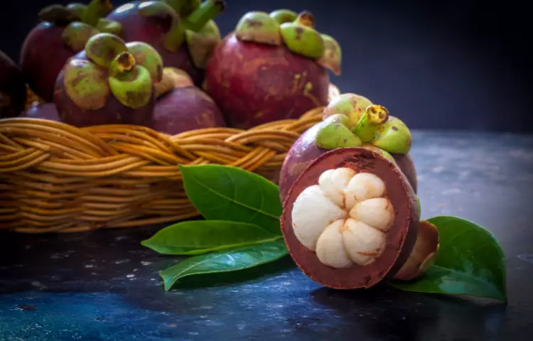 Button Mangosteen