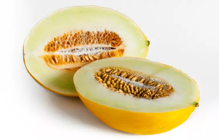 Canary melon