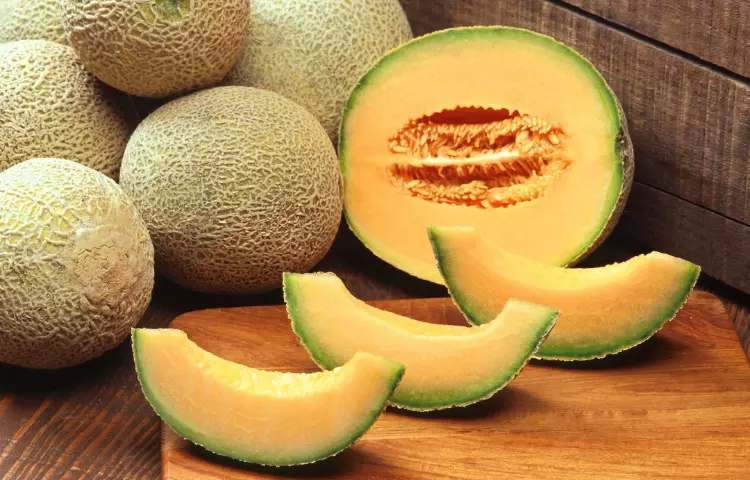 Cantaloupe