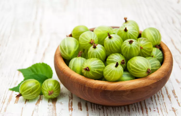 Ceylon gooseberry