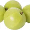 Ceylon gooseberry