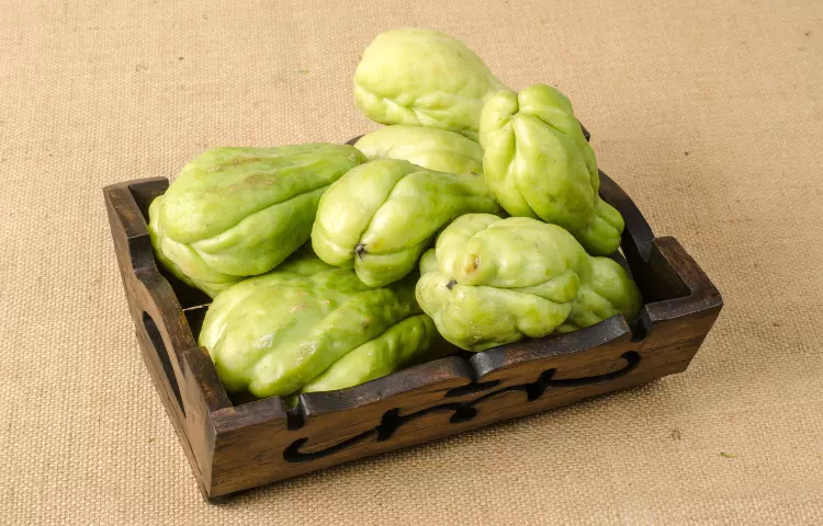 Chayote