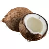 Coconut
