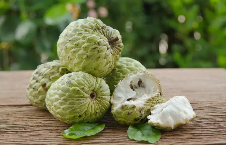 Custard apple