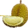 Durian